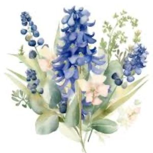 Meet your Posher, Paola